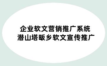 企业软文营销推广系统 潜山塔畈乡软文宣传推广